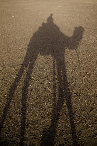 181 Jaisalmer, Sam Zandduinen.jpg